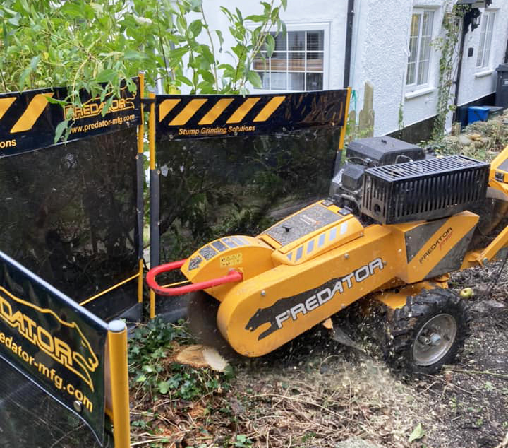 Axminster Stump Grinding Services